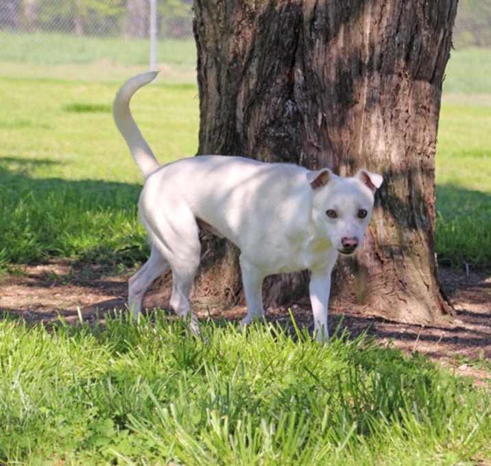 Photo of Griff