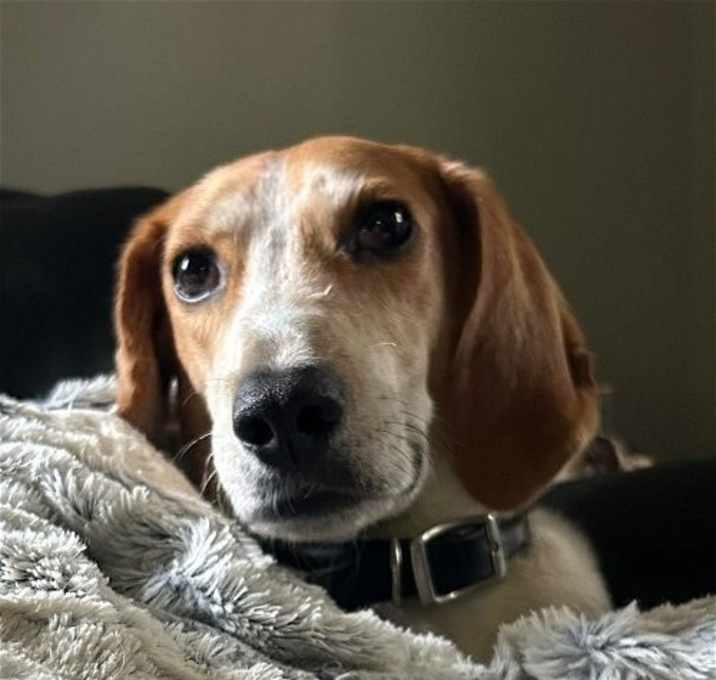 Photo of Sonny
