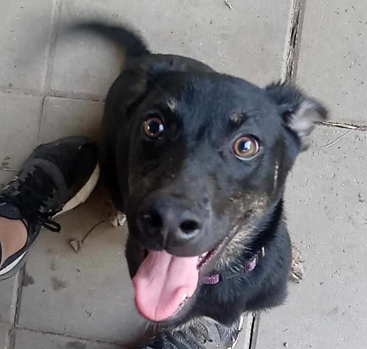 Photo of Maggie