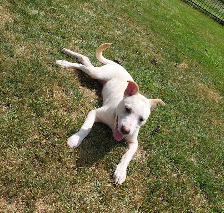 Photo of Athena (Iowa)