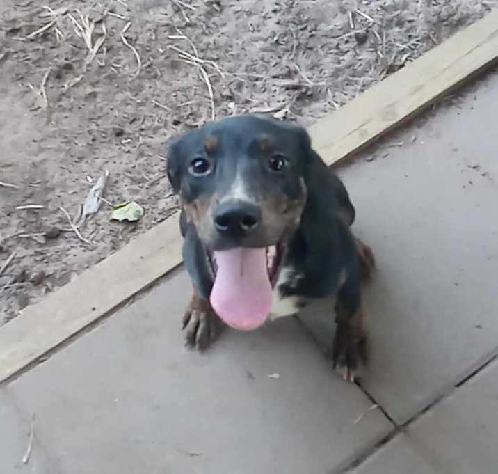 Photo of Mazie