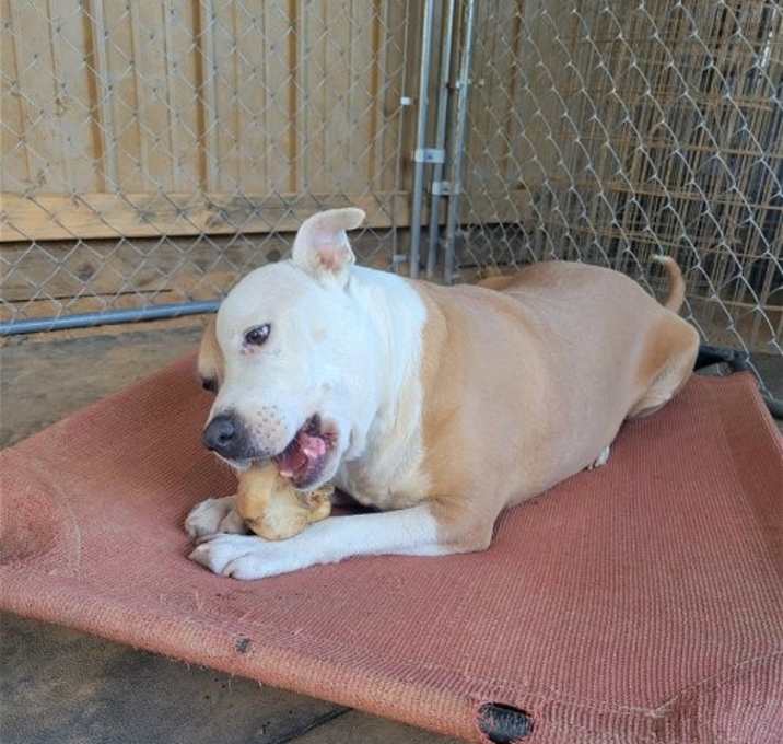 Photo of Ruby