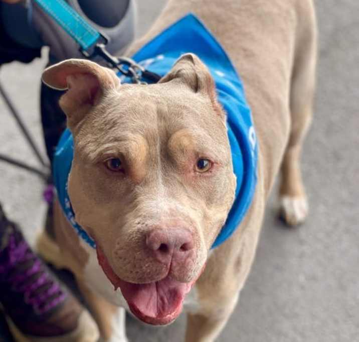 Photo of Debo
