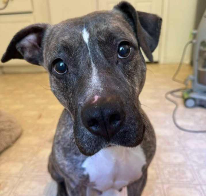 Photo of Trinity  A045674