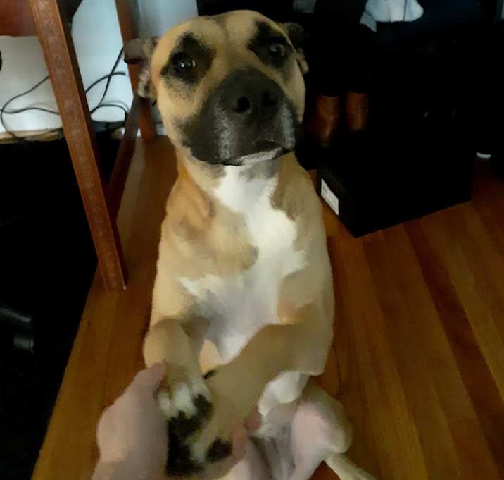 Photo of Daisy