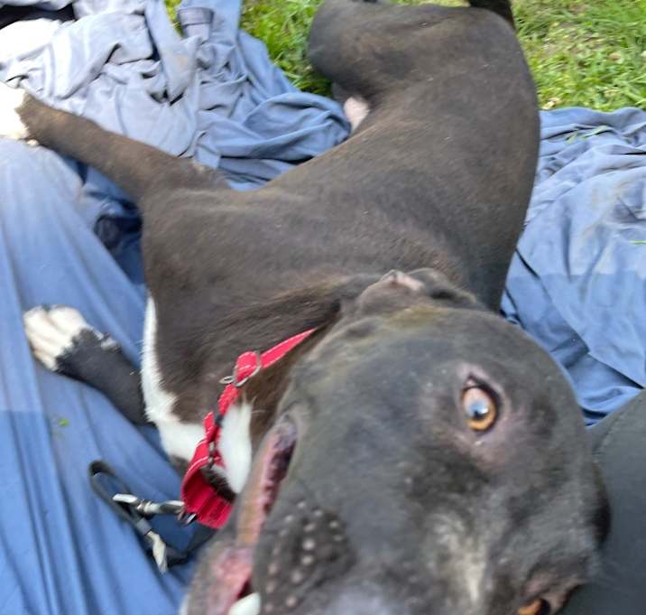 Photo of Posy