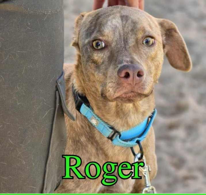 Photo of Roger