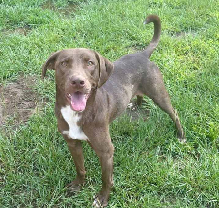 Photo of Tucker