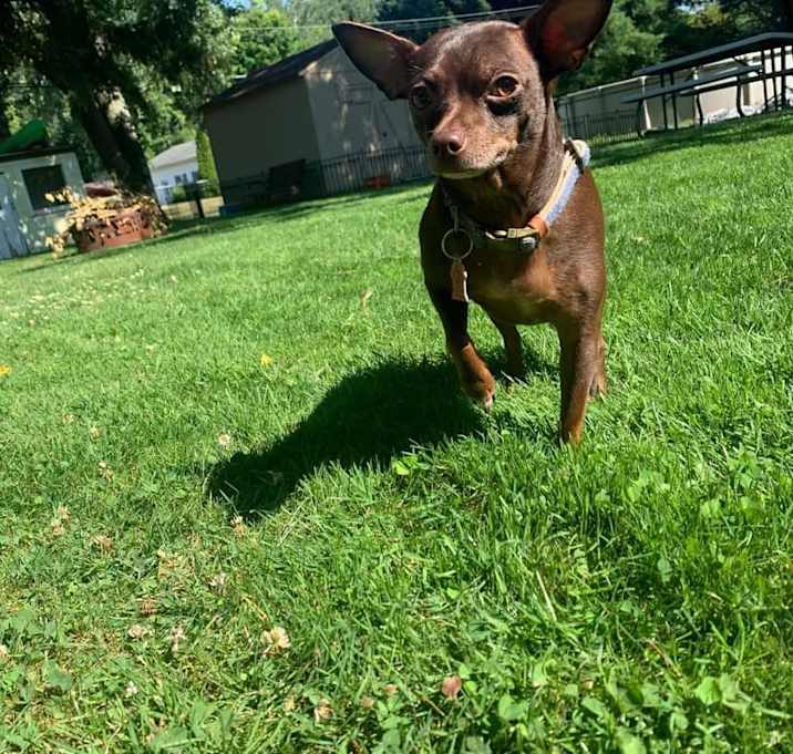 Photo of Olaf