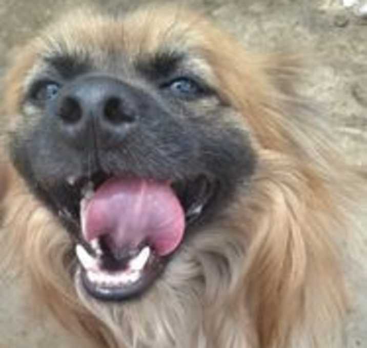 Photo of Leo