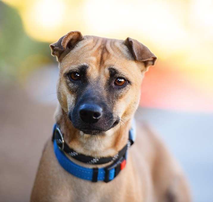 Photo of Ethel