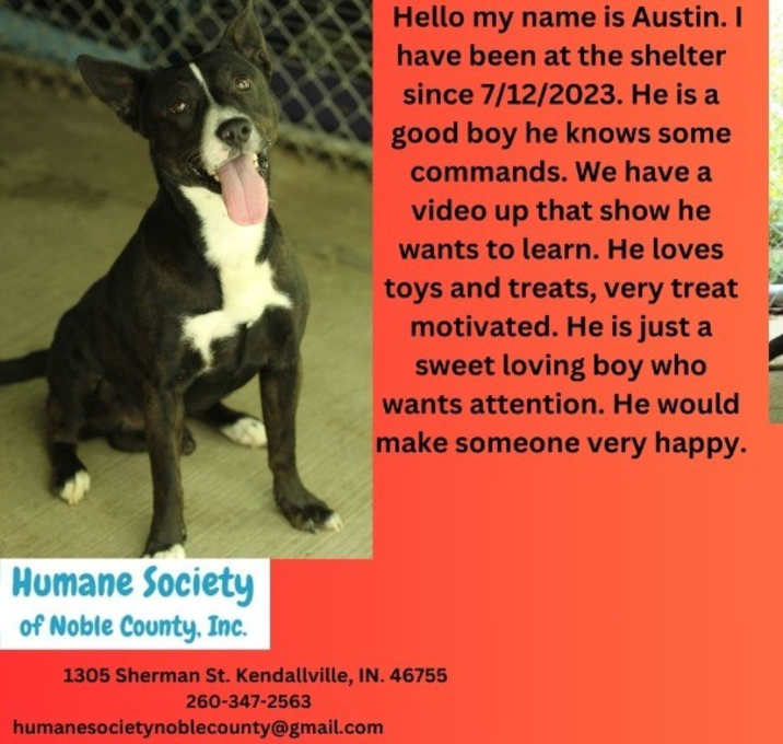 Photo of Austin
