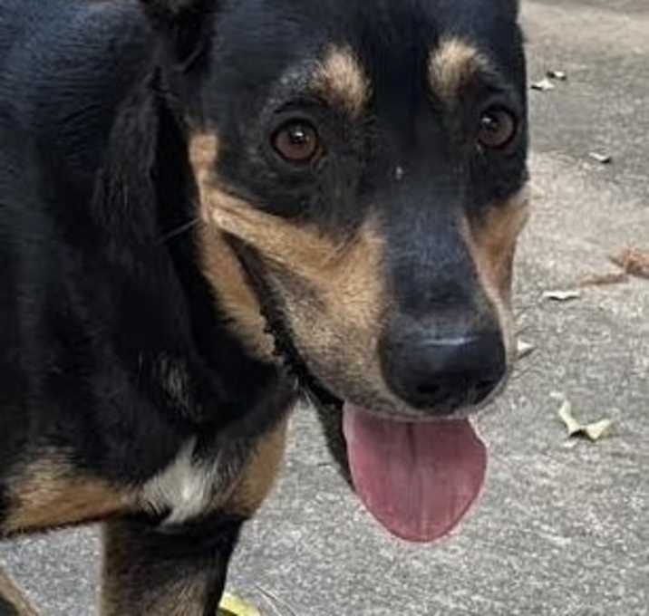 Photo of Oliver