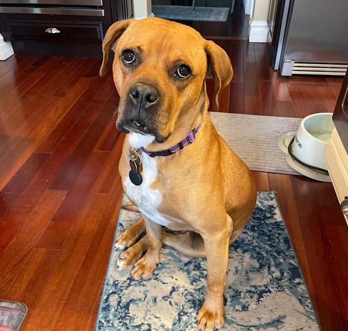 Photo of Maverick