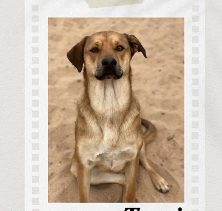 Photo of Tami