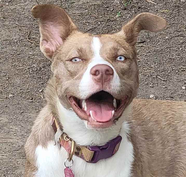 Photo of Nala Girl