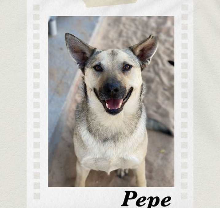 Photo of Pepe