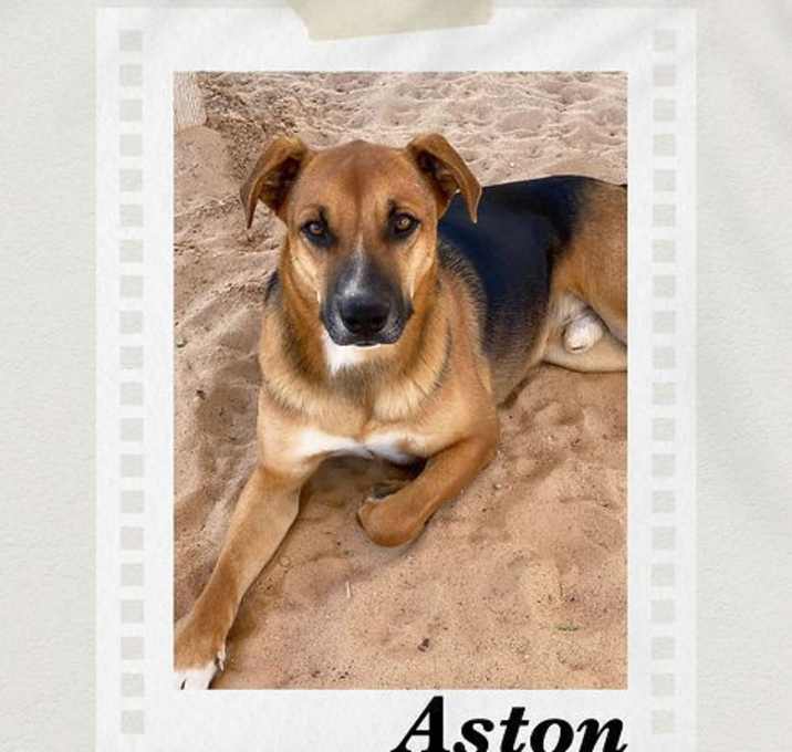 Photo of Aston