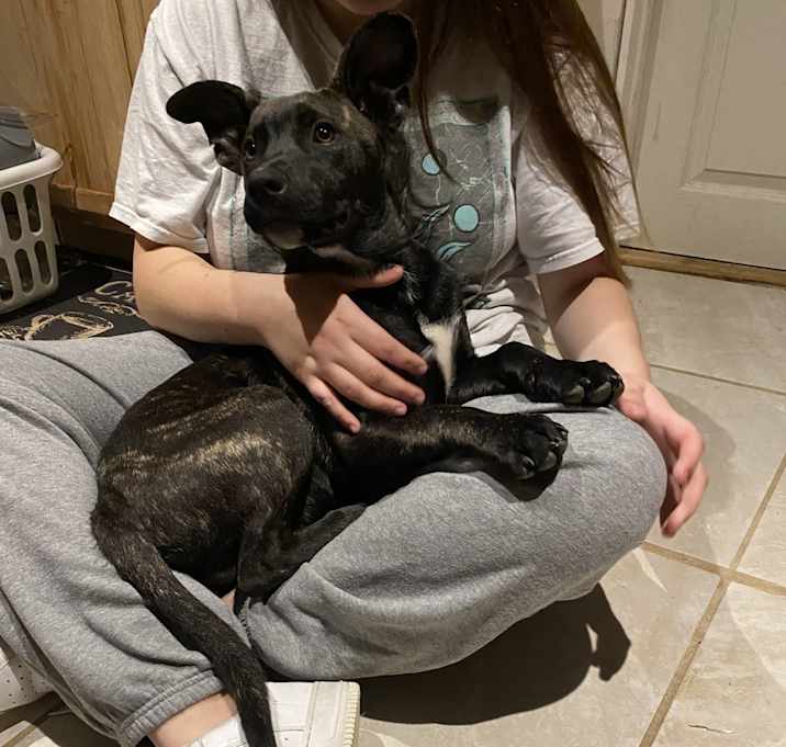 Photo of Blu 