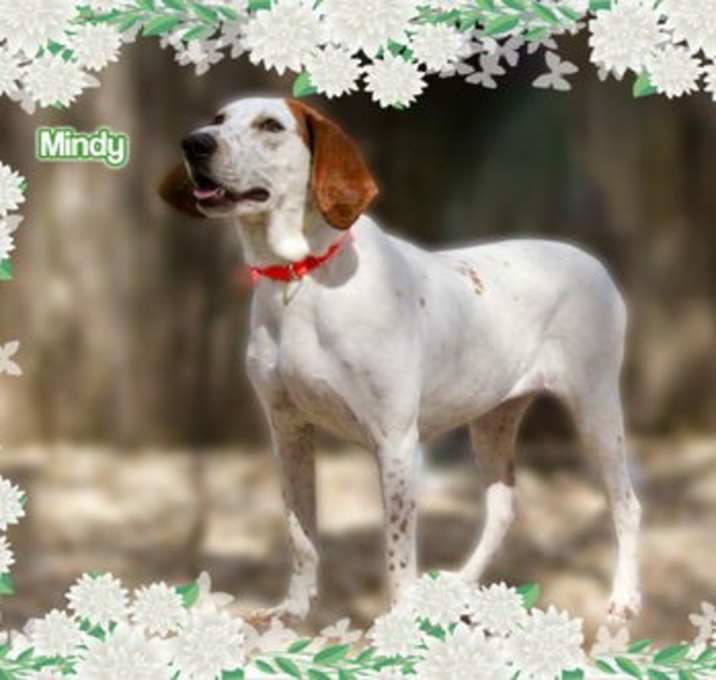 Photo of Mindy