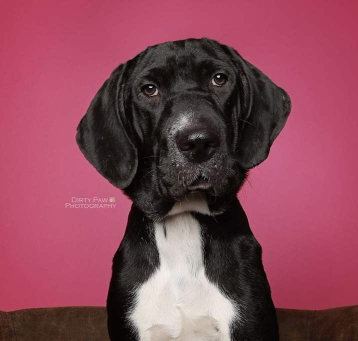 Photo of Ruby