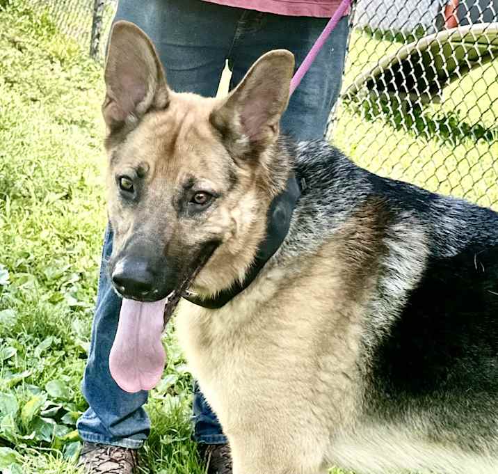 Photo of Trooper