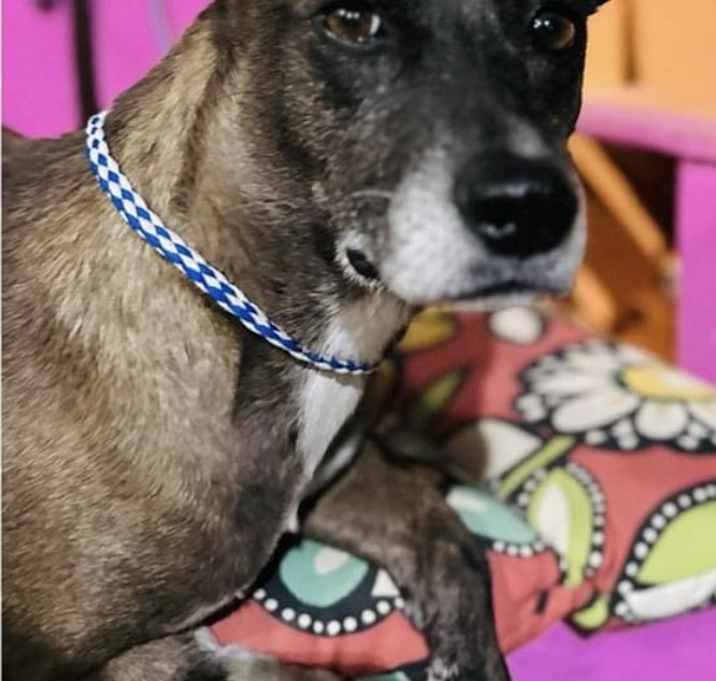Photo of Ramona