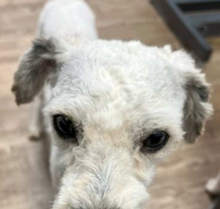 Photo of Brynn - Courtesy Post
