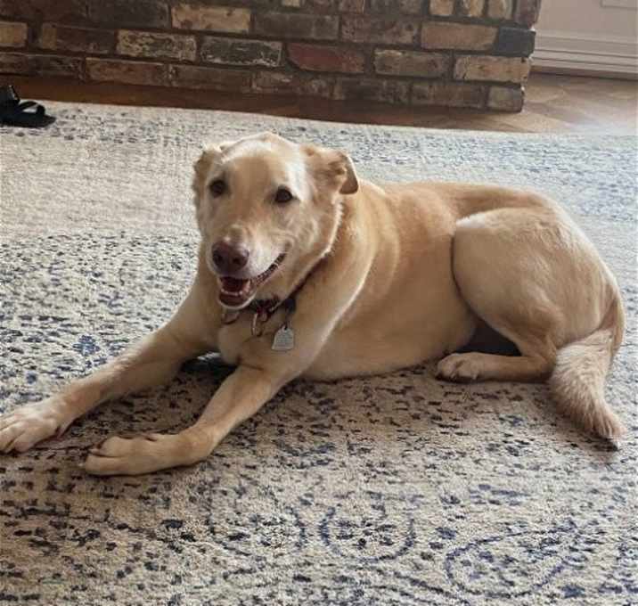 Photo of Macie