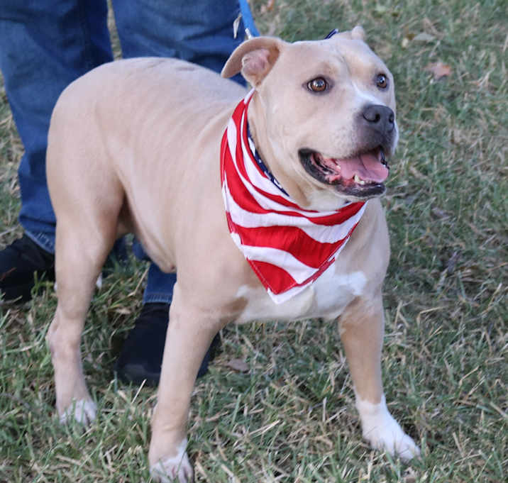 Photo of Tucker