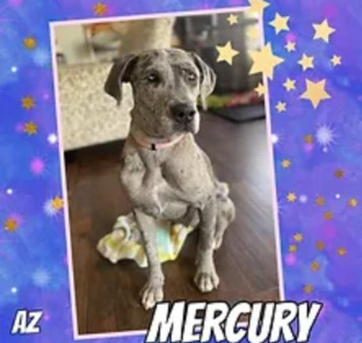 Photo of Mercury