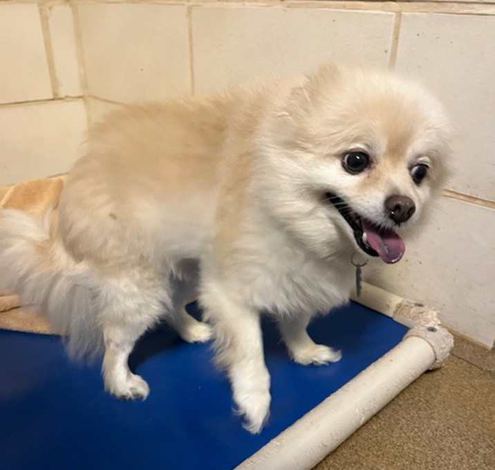 Photo of Wally