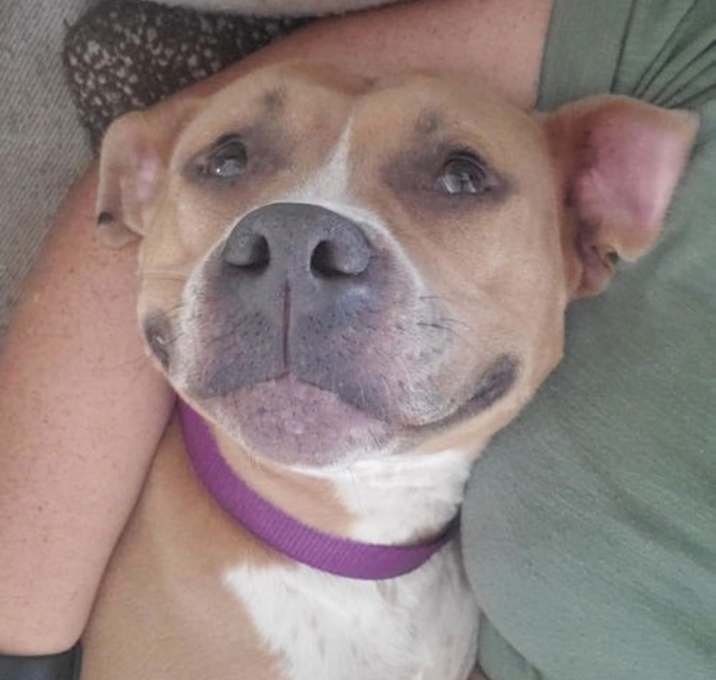 Photo of Adora