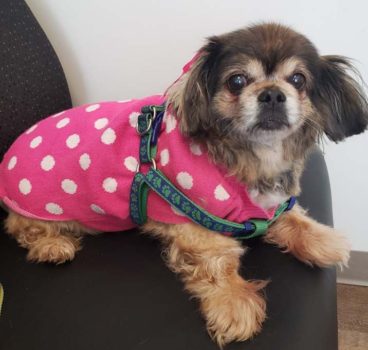 Photo of Coco