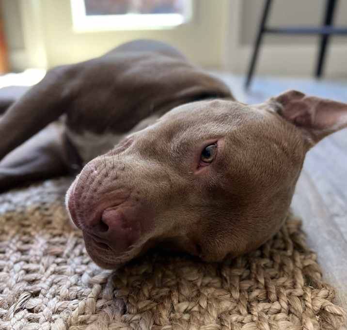 Photo of Grady