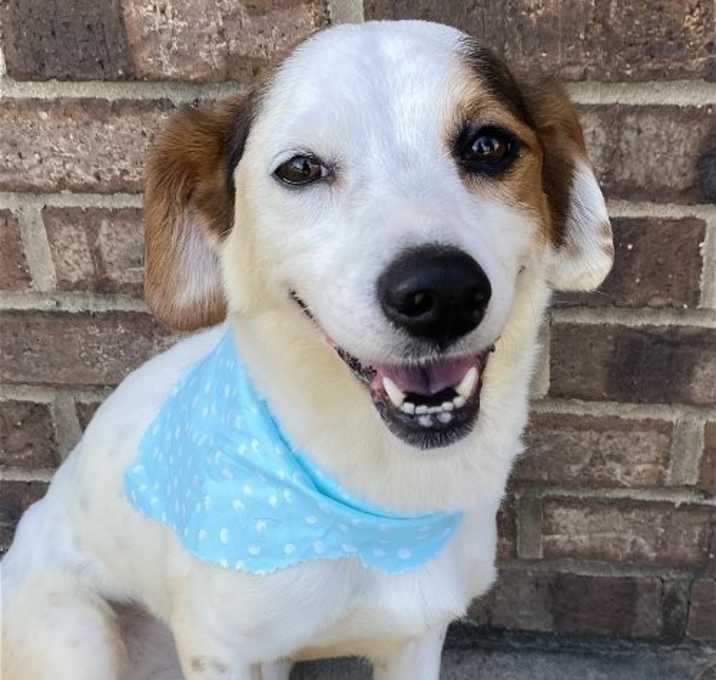 Photo of Lily