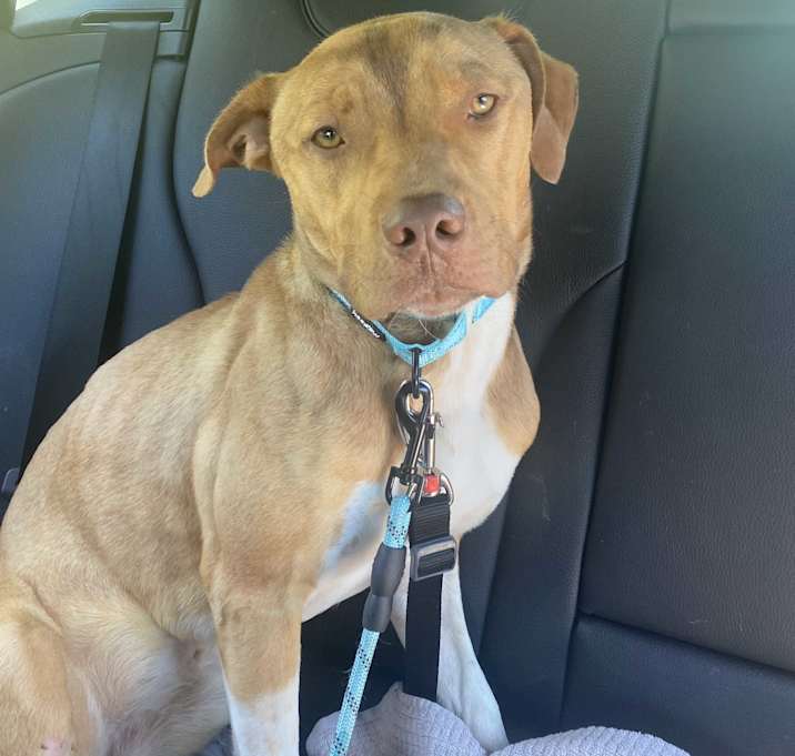 Photo of Vinnie