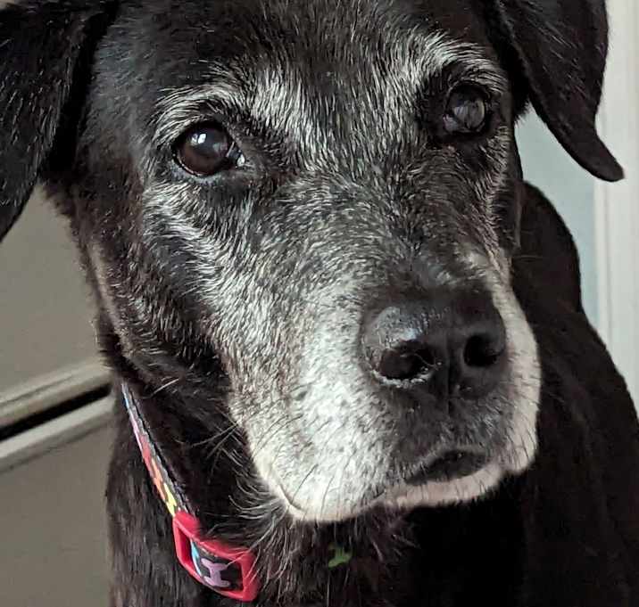 Photo of Tito