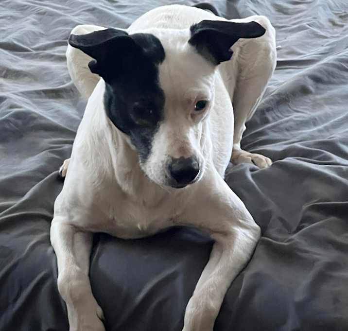 Photo of Minnie
