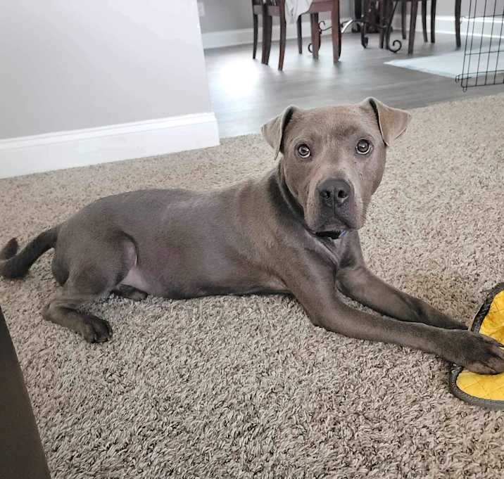 Photo of Hercules