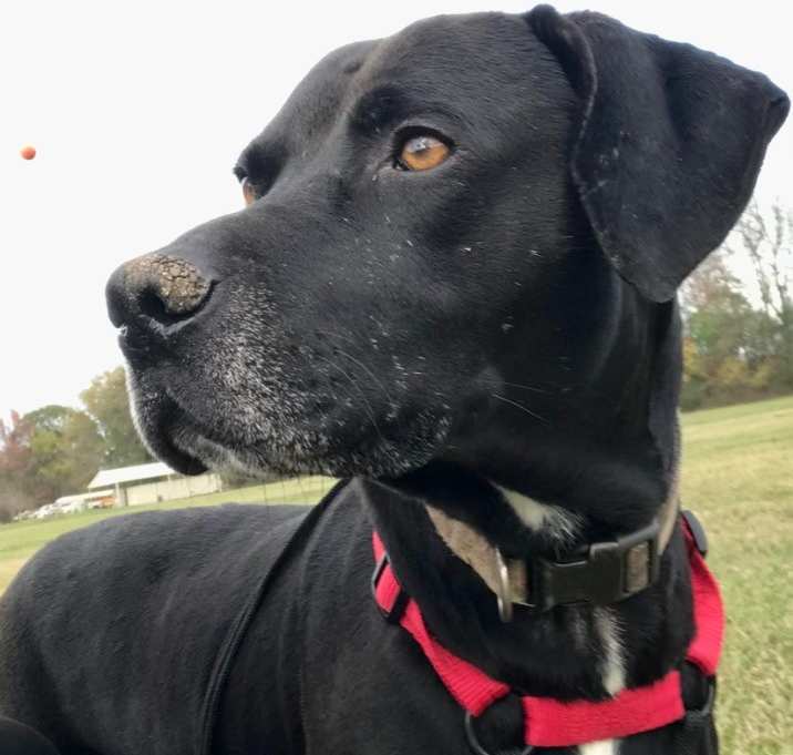 Photo of Max
