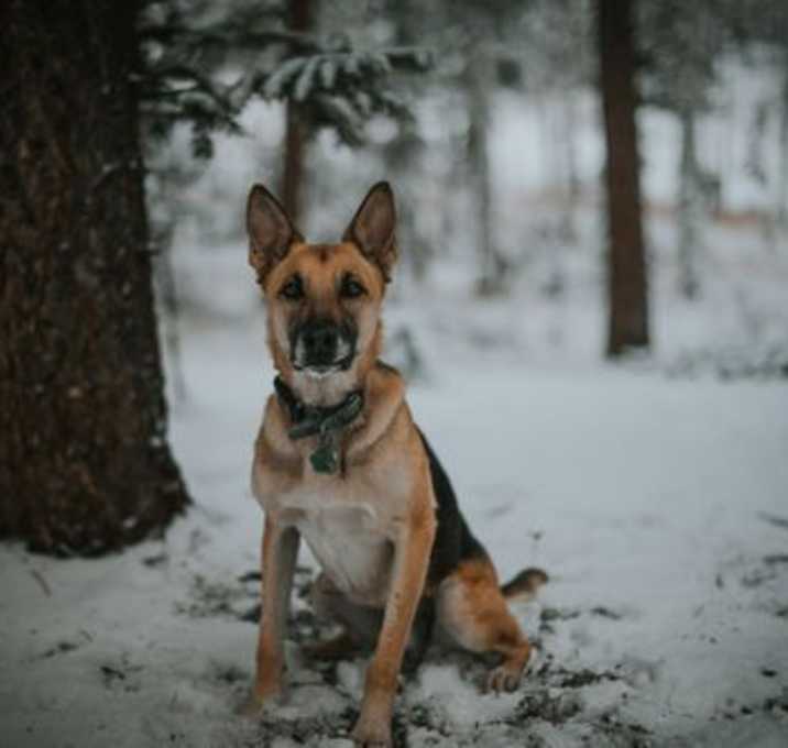 Photo of Gustaf