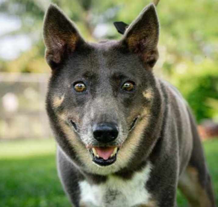 Photo of Lori