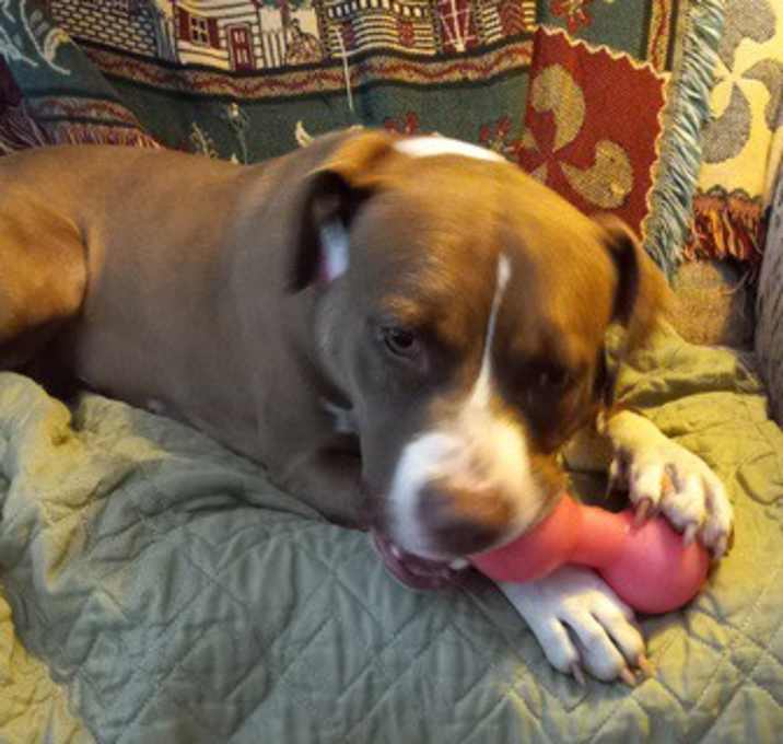 Photo of Willow