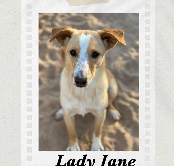 Photo of Lady Jane