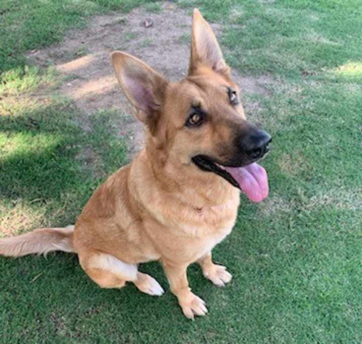 Photo of Greta