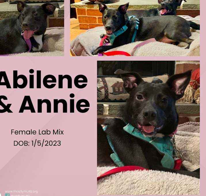 Photo of Abilene