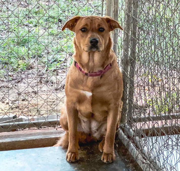 Photo of Sally Sue