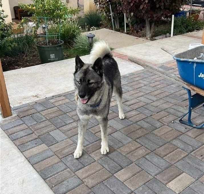 Photo of Tashi
