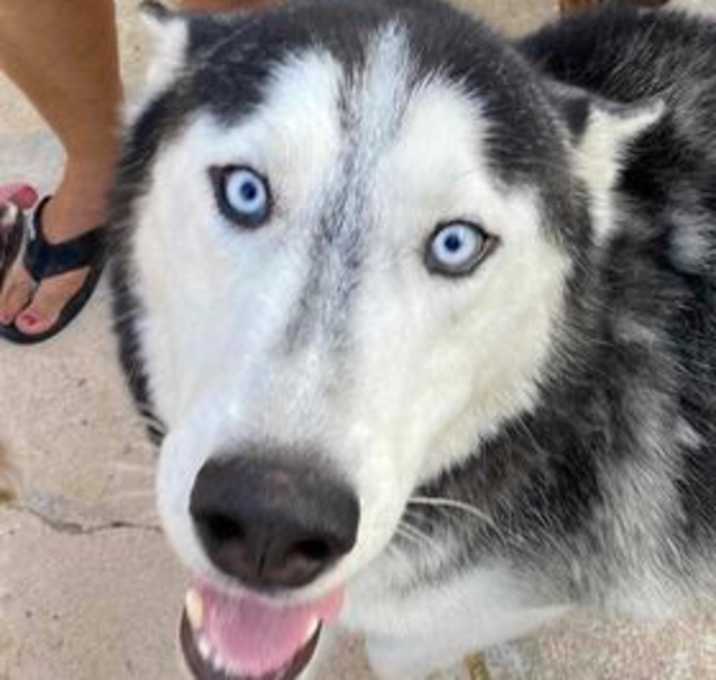 Photo of Zeus